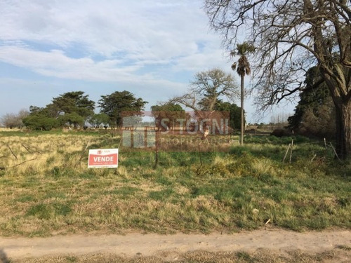 Imagen 6 de 10 de Venta Terrenos En Los Pinos !!