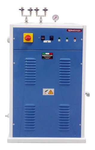 Imagem 2 de 2 de Caldeira Geradora De Vapor 25l Com Resistência W/g4f Westman