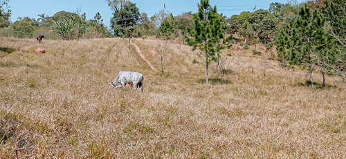 Imagem 5 de 14 de Terreno A Venda 1.209 M² Em Atibaia Doc. Ok Ac/veículos