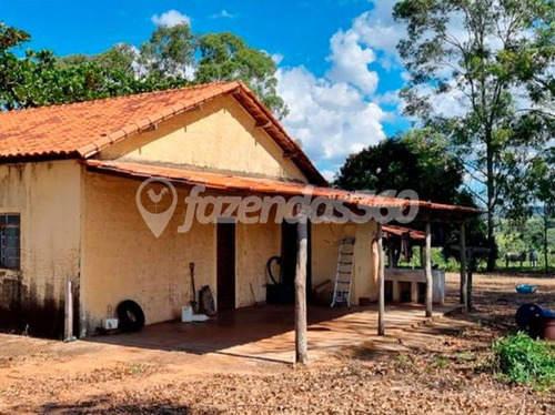 Imagem 6 de 11 de Rural Chacara Com 2 Quartos - 331-v