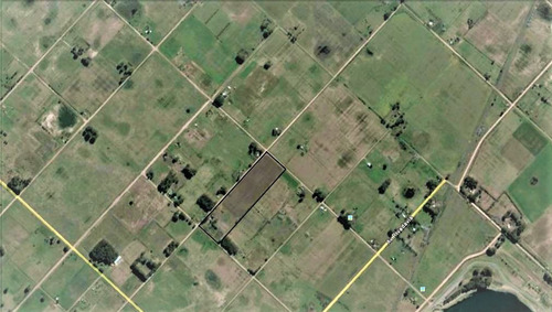 Imagen 11 de 12 de Campo Con Casa En Las Flores ,7 Hectarias,sojero