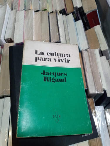 La Cultura Para Vivir - Jacques Rigaud - Ed Sur