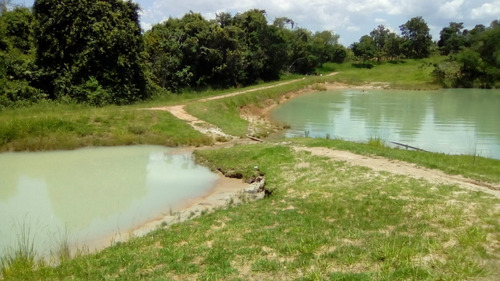 Imagem 2 de 14 de Chácara De 5000 Metros Em Condomínio Fechado