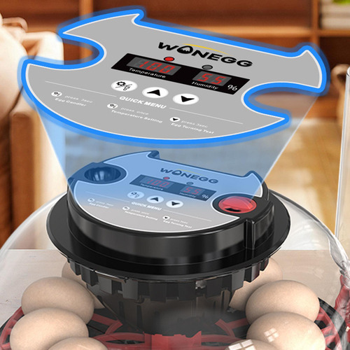 Incubadora De Ovo Com Janela Transparente Automática Turner