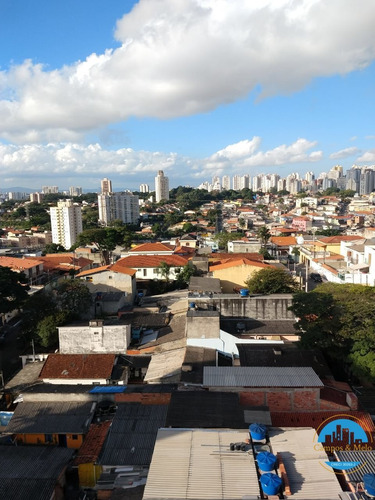 Imagem 24 de 24 de Apartamento Padrão À Venda Em São Paulo/sp - 96