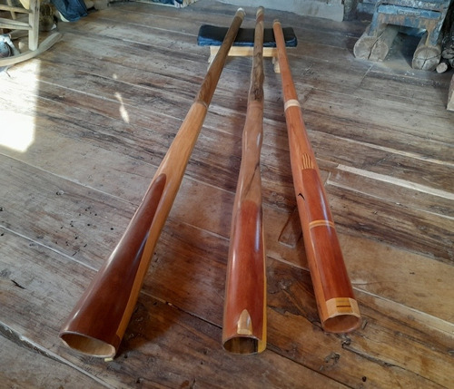Imagen 1 de 3 de Didgeridoo Profesionales