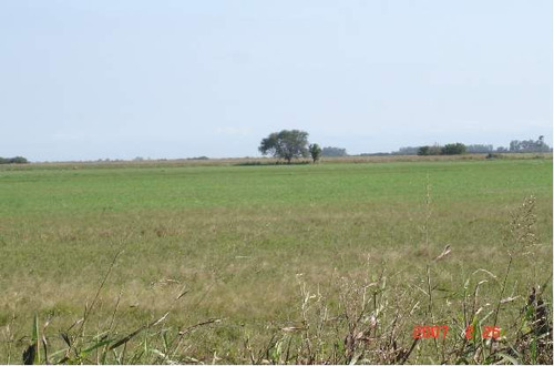 Imagen 9 de 9 de Los Chañaritos-campo Agrícola 150 Has