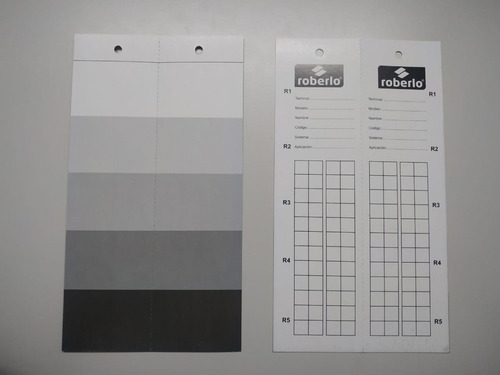 Roberlo Dameros P/ Colorimetría Muestras De Color X20 Carton