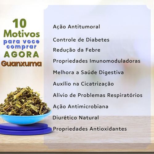 Leve 20 Guanxuma Erva P Chá Ideal Para Cha