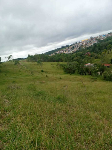 Imagem 10 de 14 de A 29 Super Lançamento De Lotes Não Perca Essa Oportunidade!!