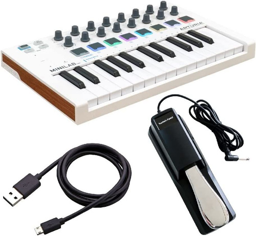 Arturia Minilab Mkii 25 Slimkey Roller Keyboard De S...