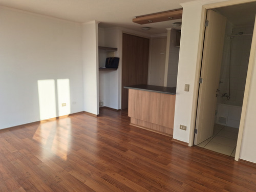 Arriendo Dp Estudio Amplio 1b Terraza Gorbea Stgo