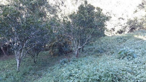 Imagem 26 de 29 de Chácara Com 3 Dormitórios À Venda, 5002 M² Por R$ 540.000,00 - Cerros De Mairiporã - Mairiporã/sp - Ch0341
