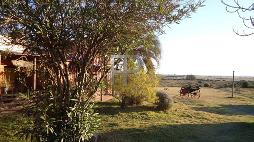 Quinta En Venta Minas 3 Dormitorios, 5 Hectáreas