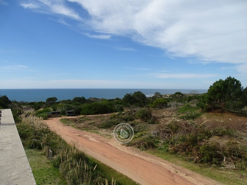 Mburucuya En Punta Del Diablo