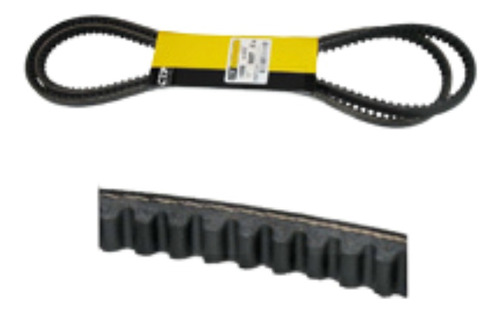 Juego De Correas Para Excavadora Caterpillar V-belt 1765006 