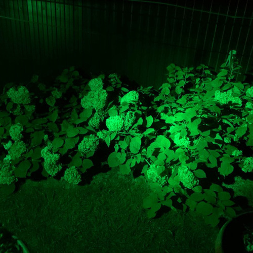 12 Piezas De Luces Led Para Jardín, 3 W, 220 V, Foco Exterio