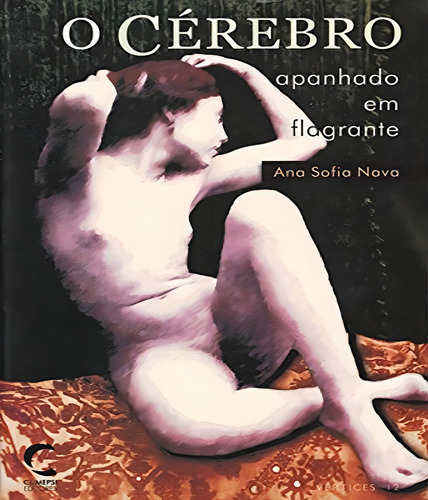 Cérebro Apanhado Em Flagrante, O, De Nava, Ana Sofia., Vol. 01., Edição 1 Em Português