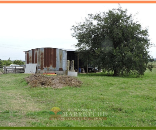Campo 24 Has En Venta Canelones