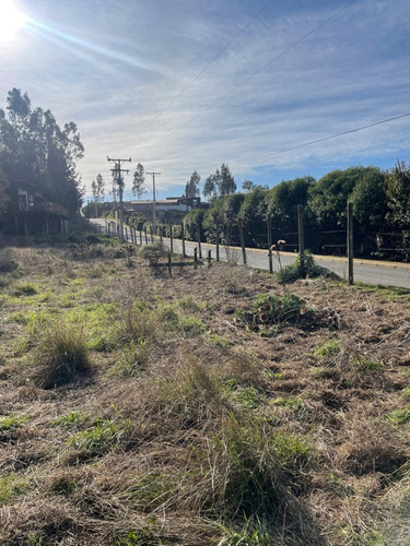 Tres Sitios Urbanos Camino Dolores Jeria Navidad A Matanzas