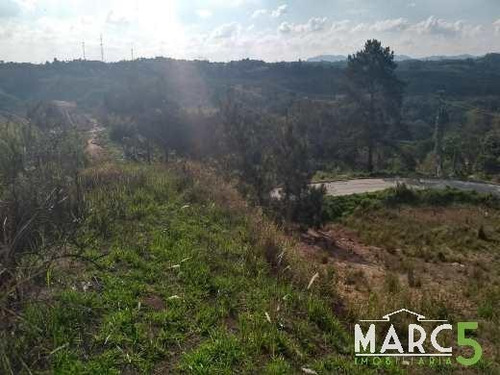Imagem 6 de 10 de Area - Jardim Sao Paulo - 769