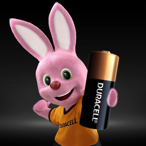 Pilha Alcalina Mn21/ A23 12v Duracell Com 2 Unidades