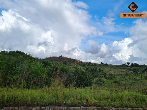 Imagem 3 de 4 de Terreno Em Camaçari - Te00458 - 69661572