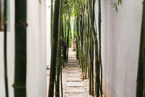 Casa En Venta En Privada Residencial En Playa Del Carmen (802)