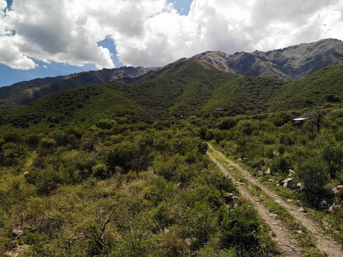 Venta De Lotes En Carpintería El Sendero