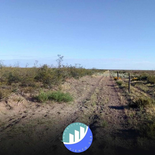 Imagen 3 de 8 de Vendo Campo De 6153 Hectáreas A 80km De Algarrobo Del Águila