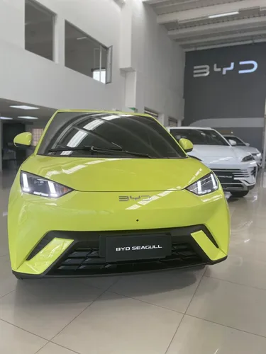 Byd Seagull Gs Na