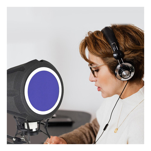 Pantalla De Micrófono Profesional Esponja Acústica