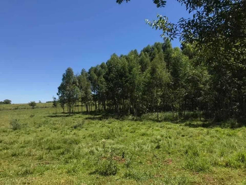 Imagen 16 de 16 de En Venta Parcela De 17 Hectáreas En Miranda