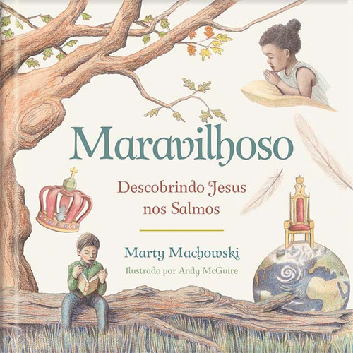 Maravilhoso - Descobrindo Jesus Nos Salmos