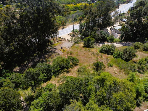 Sitio En Venta En Cachagua