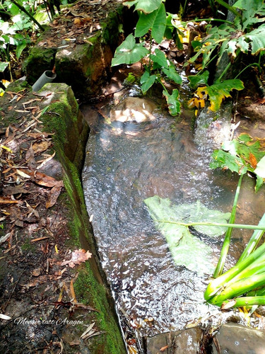Increíble Terreno Con Manantial
