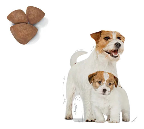Royal Canin Starter Mother & Babydog De Raza Pequeña 1.14kg