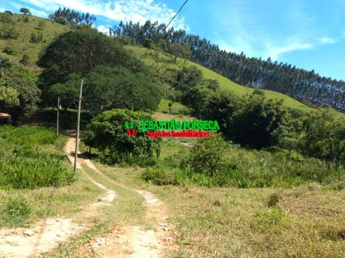 Imagem 4 de 15 de Sítio Dos Sonhos Em Paraibuna - 3.8 Alqueires - 1001