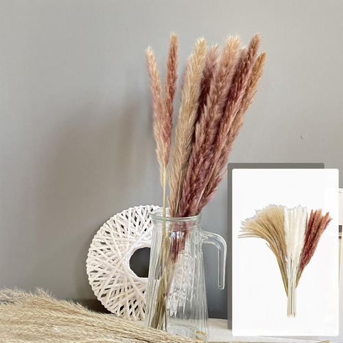 Mesa De Sala Grande, 60 Unidades, Pampa Dry Grass, Fra