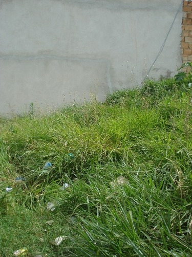 Imagem 6 de 8 de Lote Para Comprar No Diamante Em Belo Horizonte/mg - 380