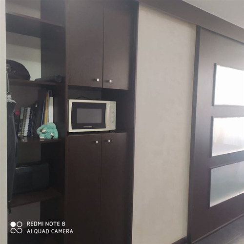 Departamento En Venta De 1 Dorm.en Suite, En Santiago