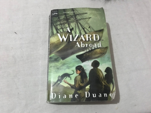 A Wizard Abroad Wizards Series 4 D Duane Houghton Mifflin   