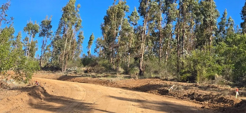 Parcelas A 35 Min De Pichilemu Rol Propio A 10 Min Ruta I-90