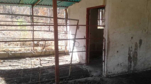 Imagen 8 de 14 de Finca Productiva Para Cria De Porcinos En Parapara De Ortiz