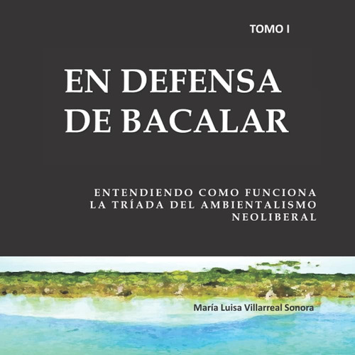 Libro: En Defensa De Bacalar: Tomo I. Entendiendo Como Funci