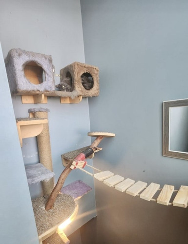 Triplex Amoblado 3d 3b Los Avellanos/las Dalias Rebajado!!!!