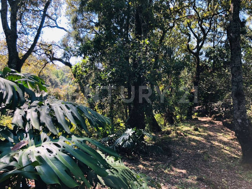 Terreno Venta Cocuatla Tepoztlan San Juan Tlacotenco Ocotes Tepoztlan Morelos