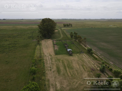 Imagen 7 de 22 de Campo Mixto En Venta En Chivilcoy 60 % Agrícola - Armado