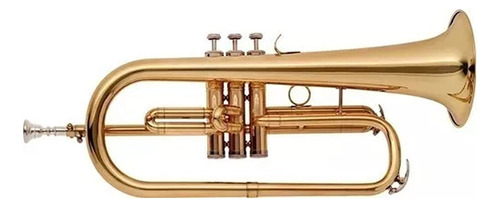 Flugel Horn Bb Con Estuche Lincoln Winds Lwfu1911