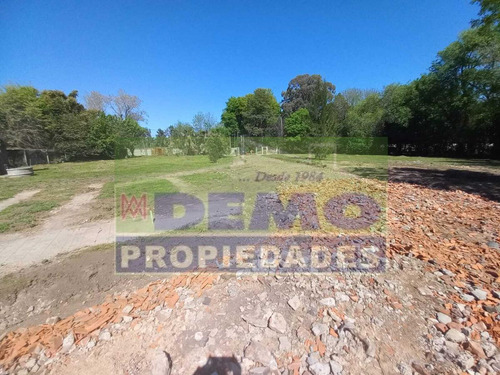 Terreno - Grand Bourg